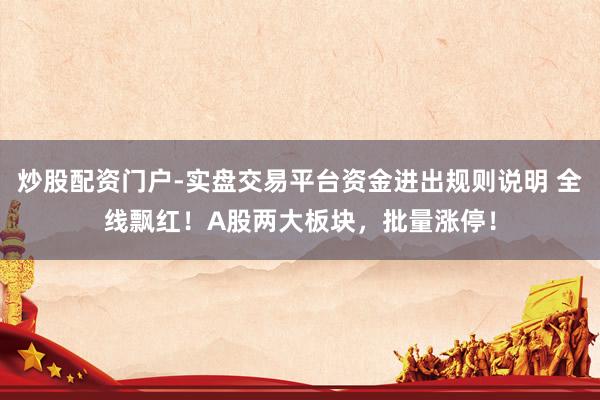 炒股配资门户-实盘交易平台资金进出规则说明 全线飘红！A股两大板块，批量涨停！